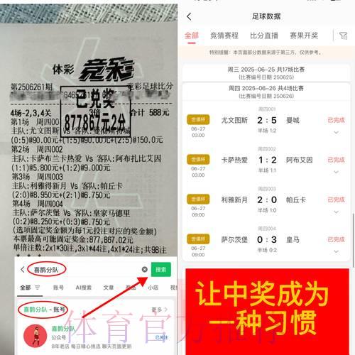 世界杯博彩平台常见疑问及应对策略